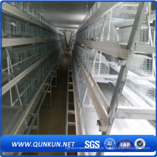 De boa qualidade Chicken Cage Products in Anping
